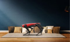 機器狗夜晚獨自在街頭游蕩 視頻曝光引發網友熱