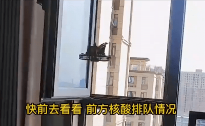 女子派無人機查看核酸排隊情況 網(wǎng)友大呼科技改