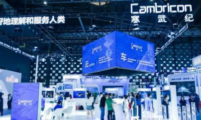 營收增五成、但客戶單一且年虧損超8億，寒武紀