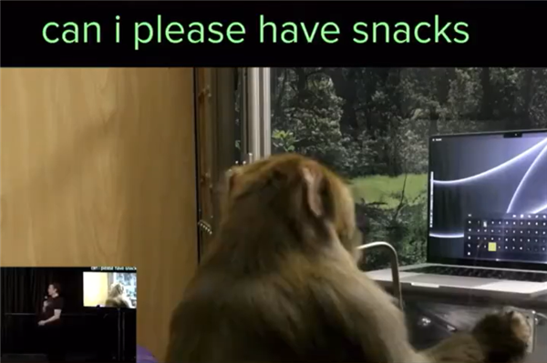 馬斯克腦接口公司召集志愿者參與首次人體試驗：數千人排隊報名