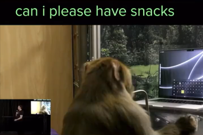 馬斯克腦接口公司召集志愿者參與首次人體試驗