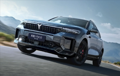 嵐圖公布5月銷量：共計賣出4521臺 同比增長51%